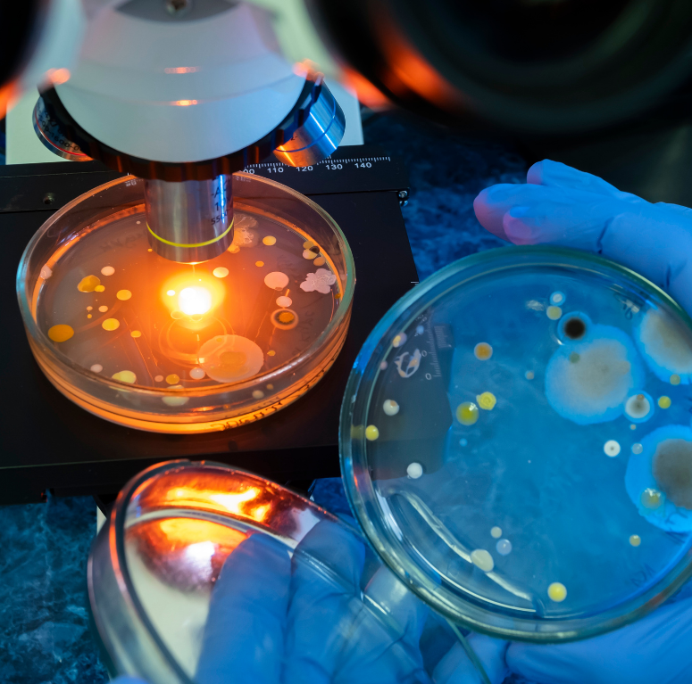 life science, microscopes, optical tweezers and fluorescent spectroscopy